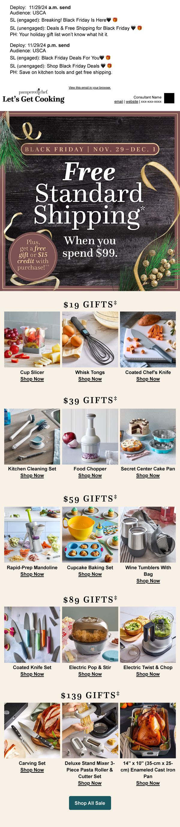 Black Friday email 2024